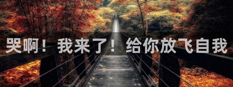 51漫画禁漫成人入口