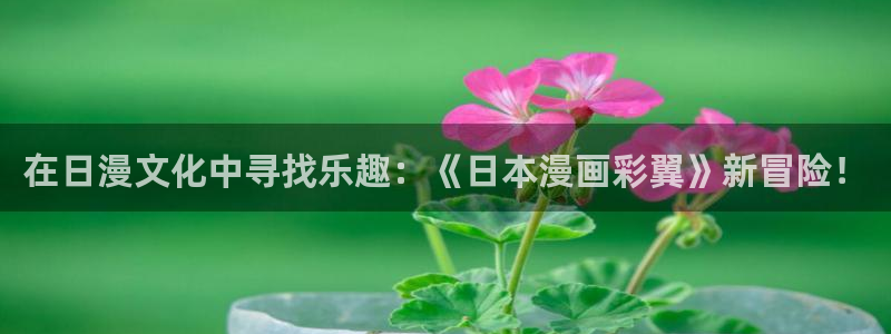 51漫画官方下载安装!：在日漫文化中寻找乐趣：《日本漫画彩翼》新冒险！