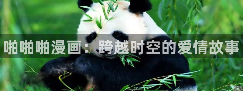 51漫画怎样下载