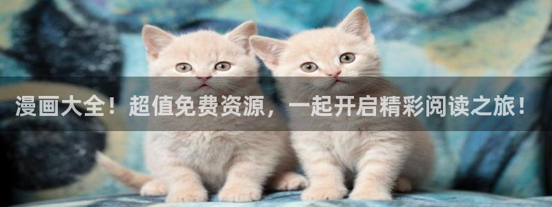 51漫画网站入口