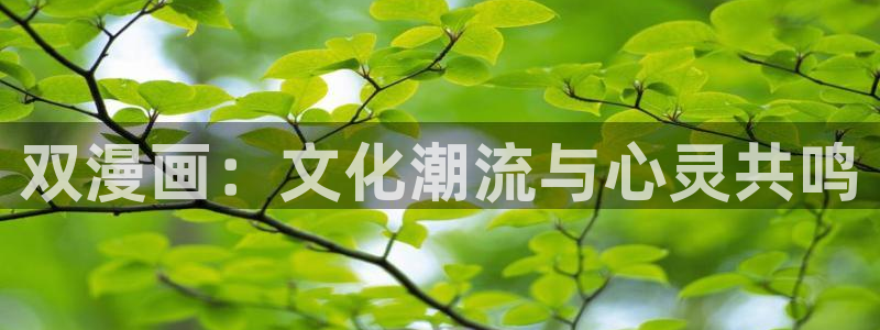 51漫画免费在线阅读：双漫画：文化潮流与心灵共鸣