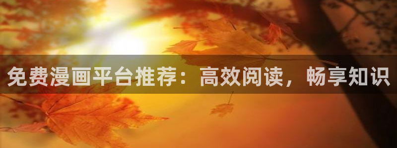 51漫画下载大全：免费漫画平台推荐：高效阅读，畅享知识